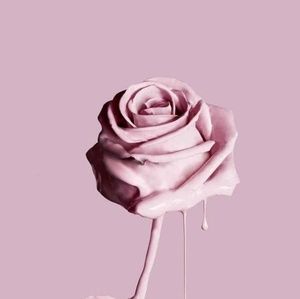 Meet your Posher, Bunny